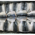 Китайская шлюпа IQF Frozen Butterfly Mackerel